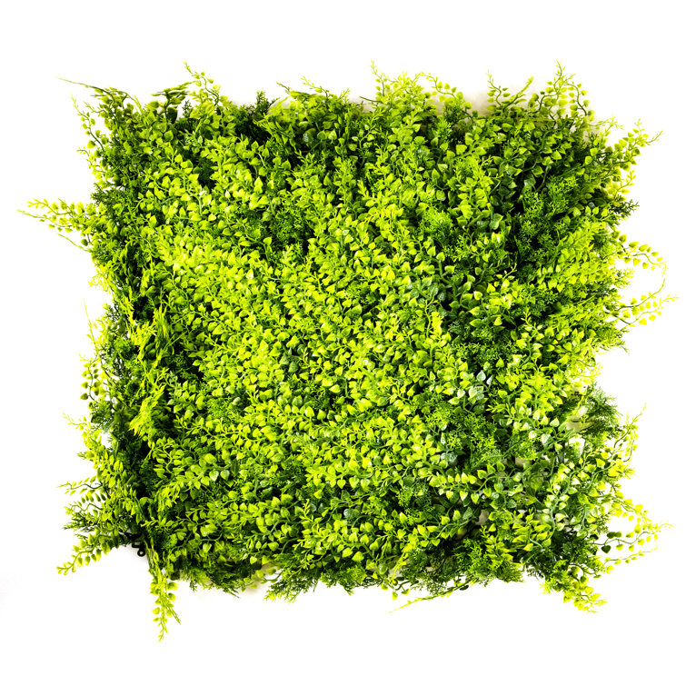 Primrue 1'' Faux Boxwood Hedge Wayfair Canada